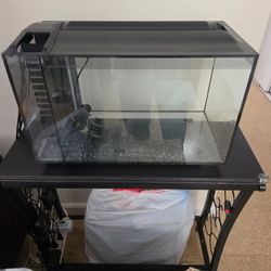 Fish Tank Aquarium with Lid and Filter and stand.