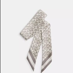 Coach Scarf