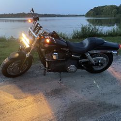 2010 Harley Fat bob