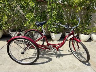 Schwinn Meridian