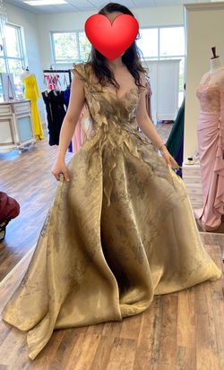 Evening Dress (Party)