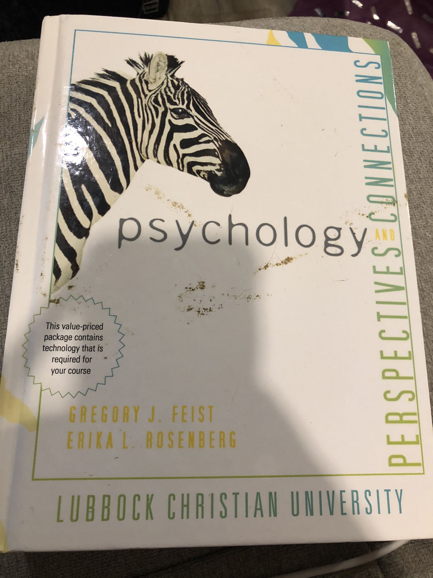 Psychology Perspectives and Connections