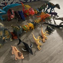 Dinosaurs 🦕  🦖 🦖🦖🦖🦕🦕🦕