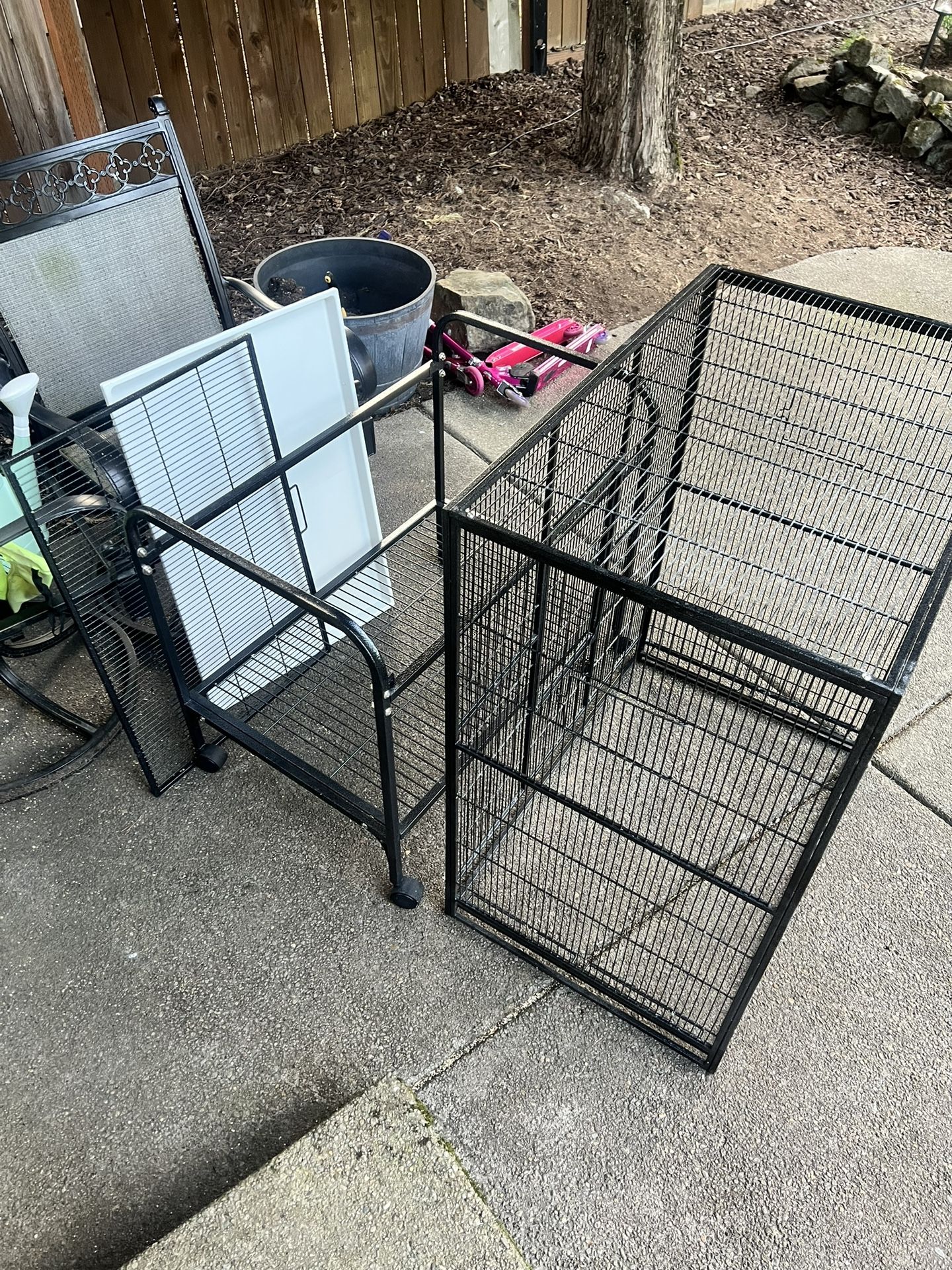 Bird Cage