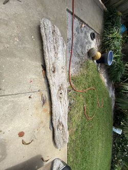 Drift wood