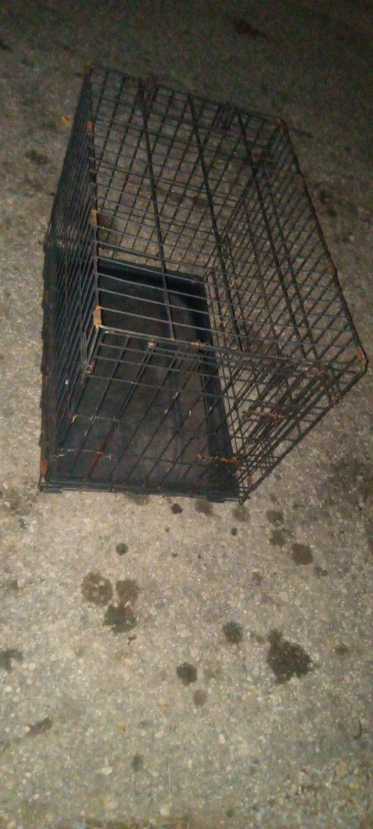 Metal Dog Cage With Tray