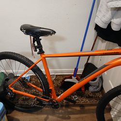 Cannondale XL