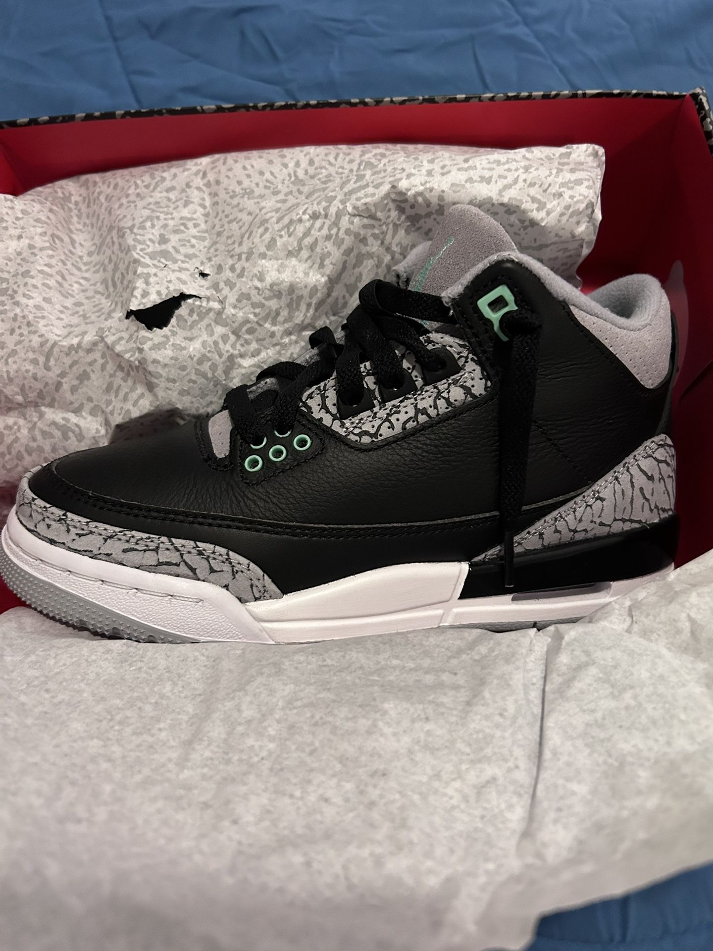 Air Jordan 3 Retro