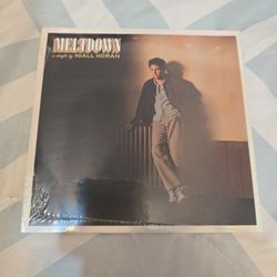 Meltdown by Niall Horan (single)