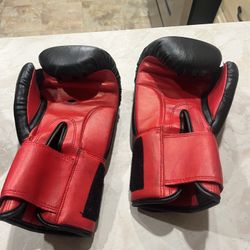 Century Punch Bag