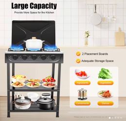 5-Burner Gas Stove with Storage Stand