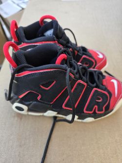 Nike Uptempo Scottie Pippen