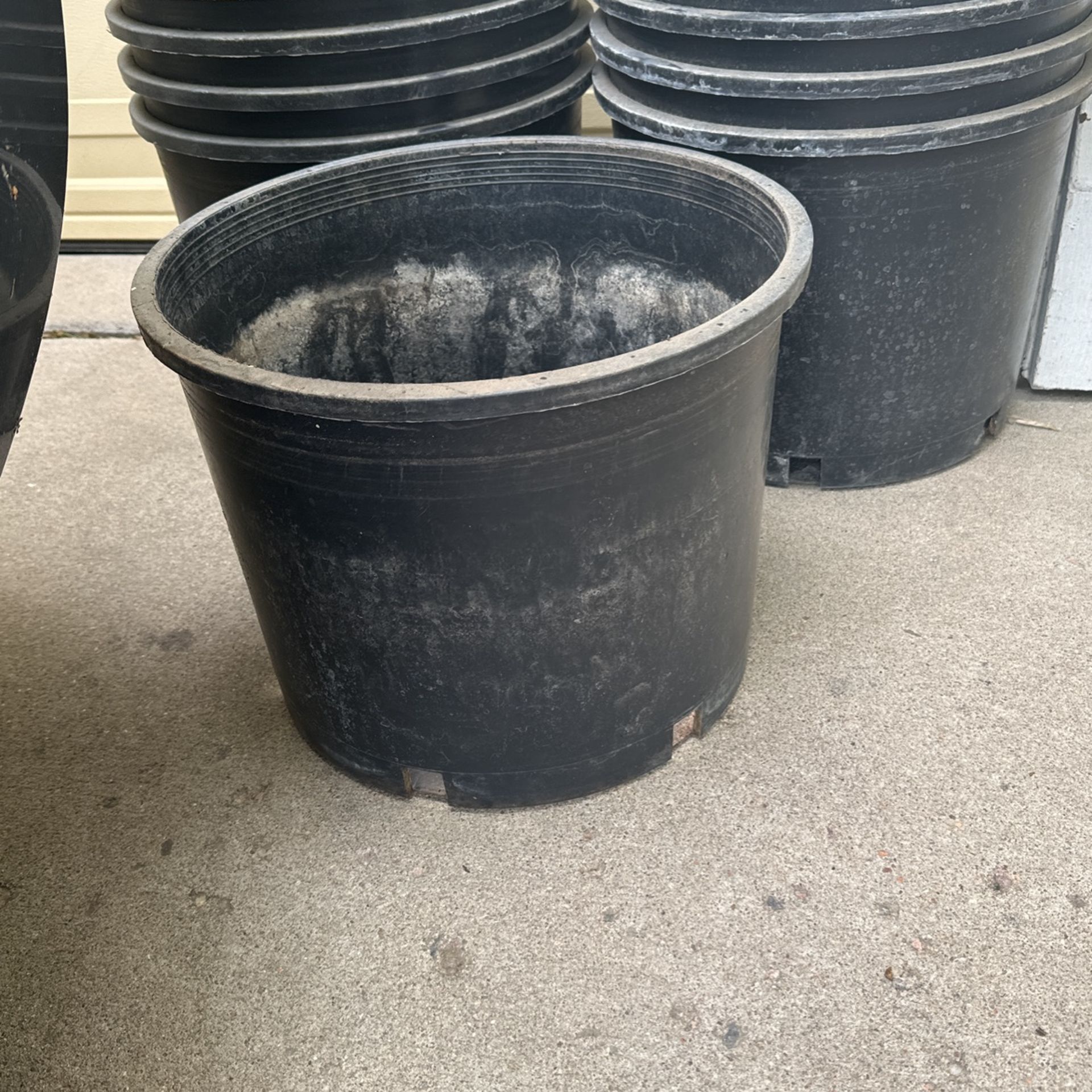 Flower Pots