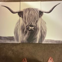 Highland Cow Wall Decor