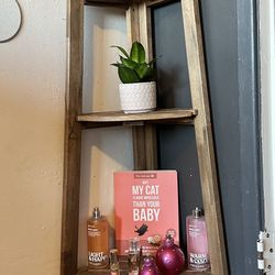 Corner Shelf (4 Ft Tall) 