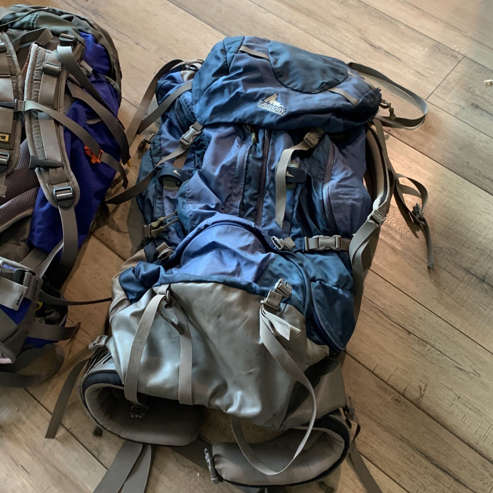 Gregory Whitney 95 large capacity backpack
