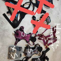 Dog / Pet Harnesses  / Horse Halter $10 Each 