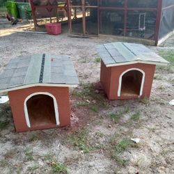 Dog House