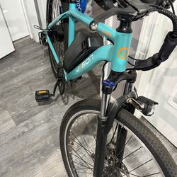 E bike ( pick up ONLY  $300