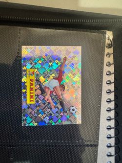 Paninis World Cup sticker