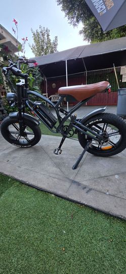 Electric bike/bicicleta electrica