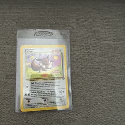 Ever 1999 Protective Case