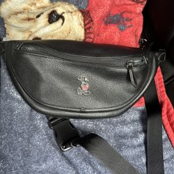 Coach X Disney Fanny Pack 