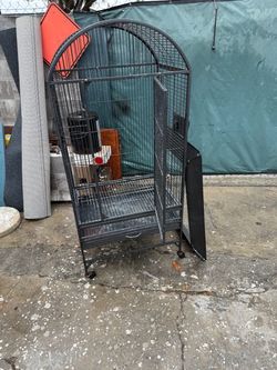 Bird Cage
