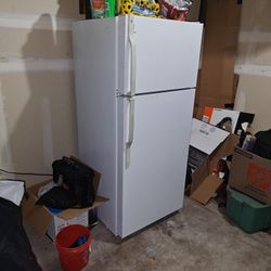 Fridge And Freezer