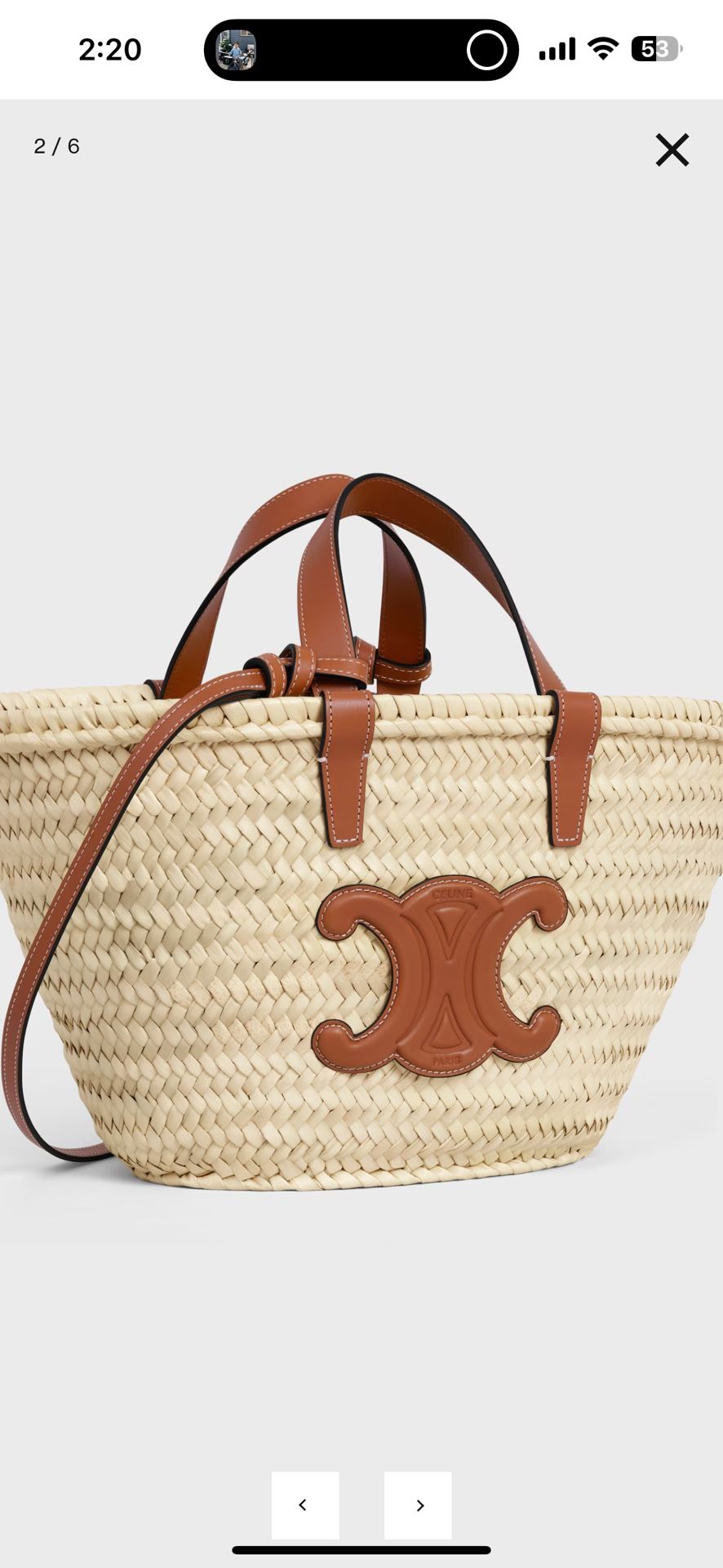 Authentic Celine Summer Palm Bag