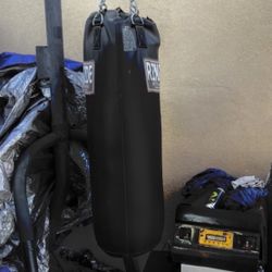 Everlast Stand with Punching bag