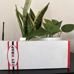 box for Ezy Wrap orthopedic products, which include various braces and supports