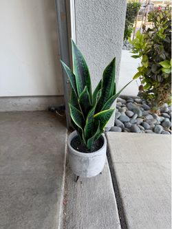 Artificial plant