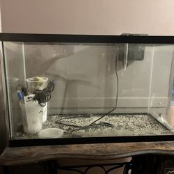 Fish Tank / Aquarium 