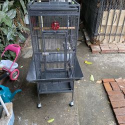 Bird Cage