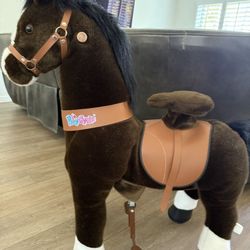 Large Ponycycle 