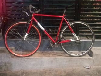 All City Bike