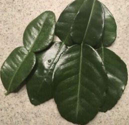 Kaffir Lime Leaves