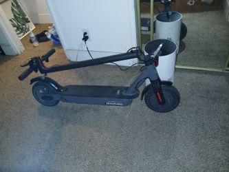 Hiboy Scooter
