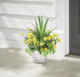 large white pots for indoor plants Buy Big Sonoma Planter Set of 4 in Clay 22.0