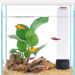 Betta Fish Tank, 2 Gallon Glass Aquarium Starter Kit, Small Fish Tank with Filter and Light.