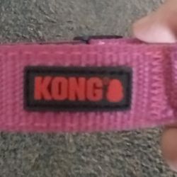 Dog Collar/Harness 