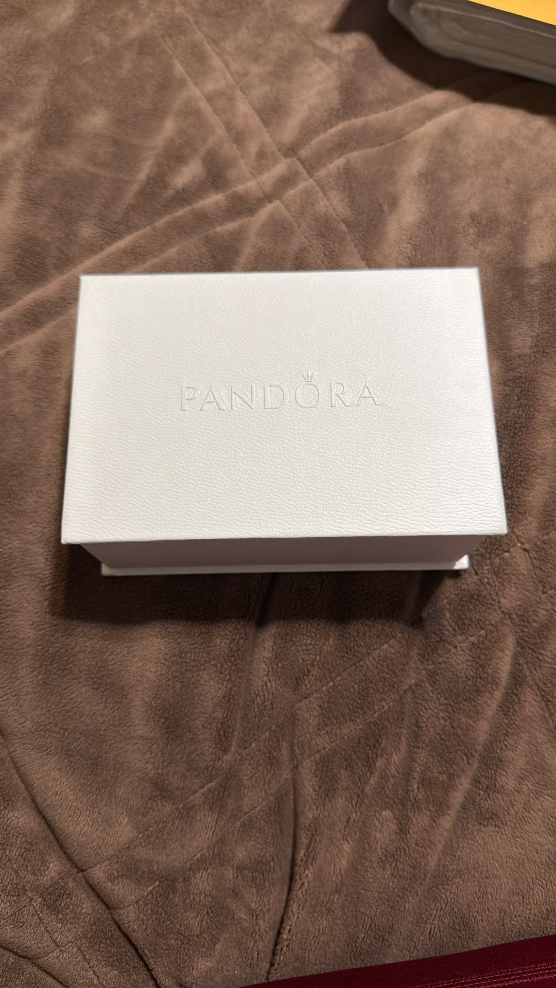 PANDORA CLEANING KIT