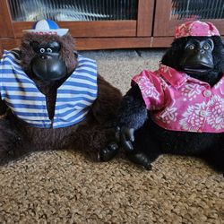 Macarena And Great Balls Of Fire Singing Gorillas