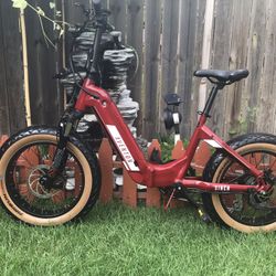 🚴‍♀️ FAT TIRE BIKE 🚴‍♀️