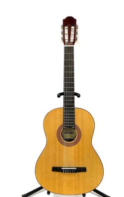 Horner guitar hc 06 w carrying case