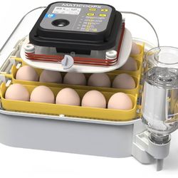 Incubator 