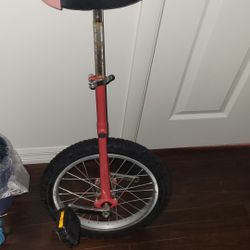 16 Inch Wheel Unicycle I Can Deliver 