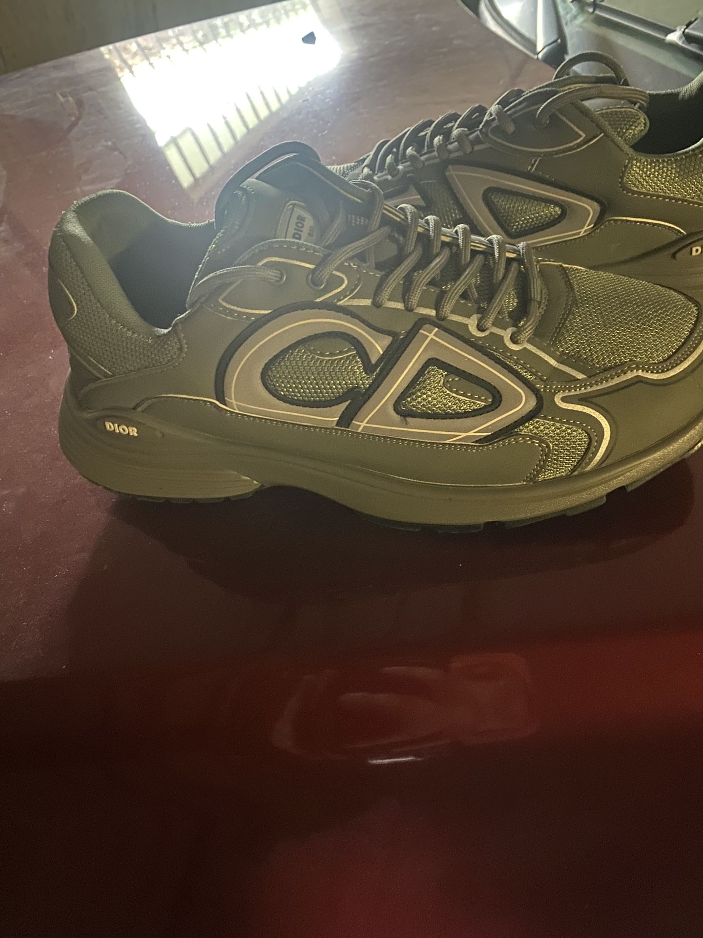 Dior B30 Low Rise Sneakers