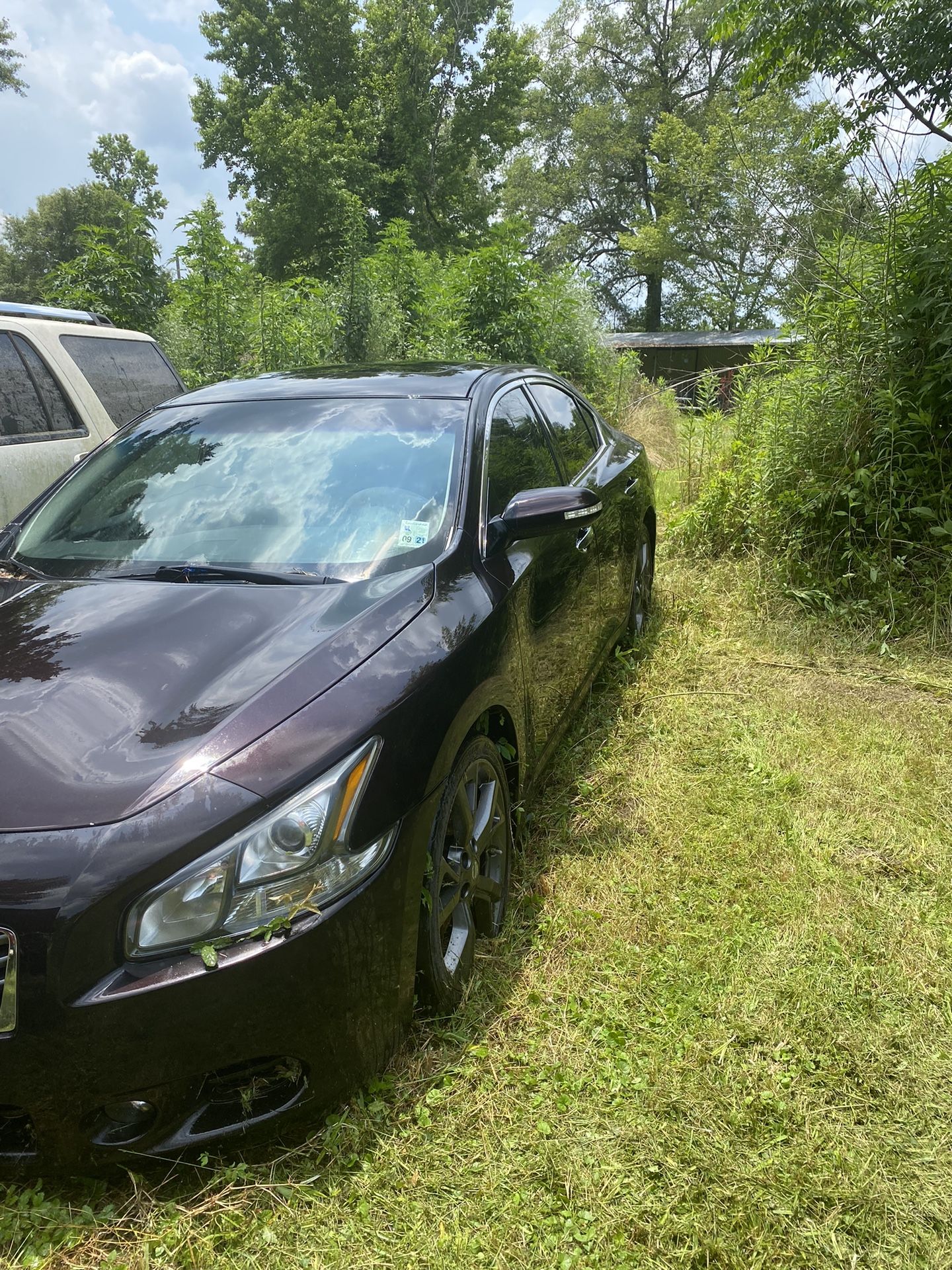 2014 Nissan Maxima